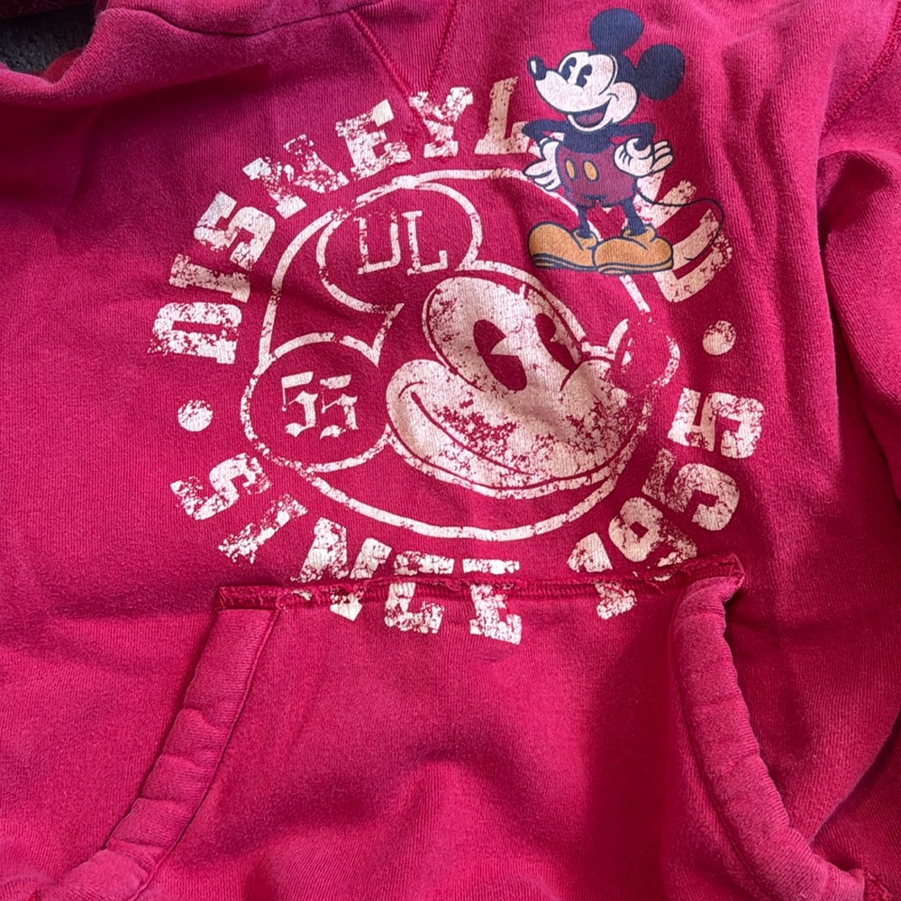 Mickey Disneyland pullover.